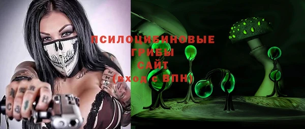 apvp Верея