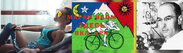 apvp Верея