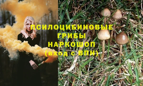 apvp Верея