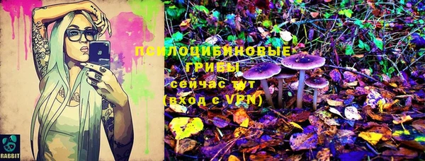 apvp Верея