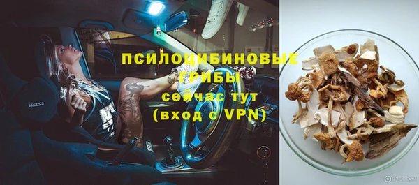 apvp Верея