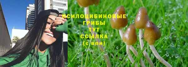 apvp Верея