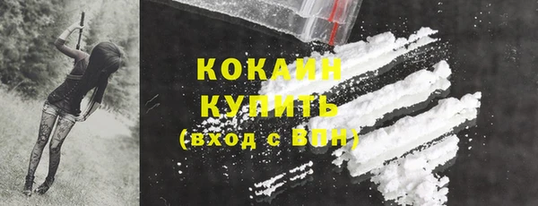 apvp Верея