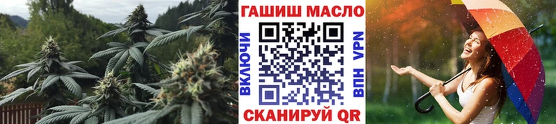 Купить где  Лагань  Дистиллят ТГК гашишное масло 