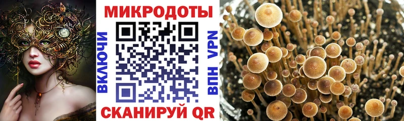 Псилоцибиновые грибы мухоморы  Купить где  Лагань 